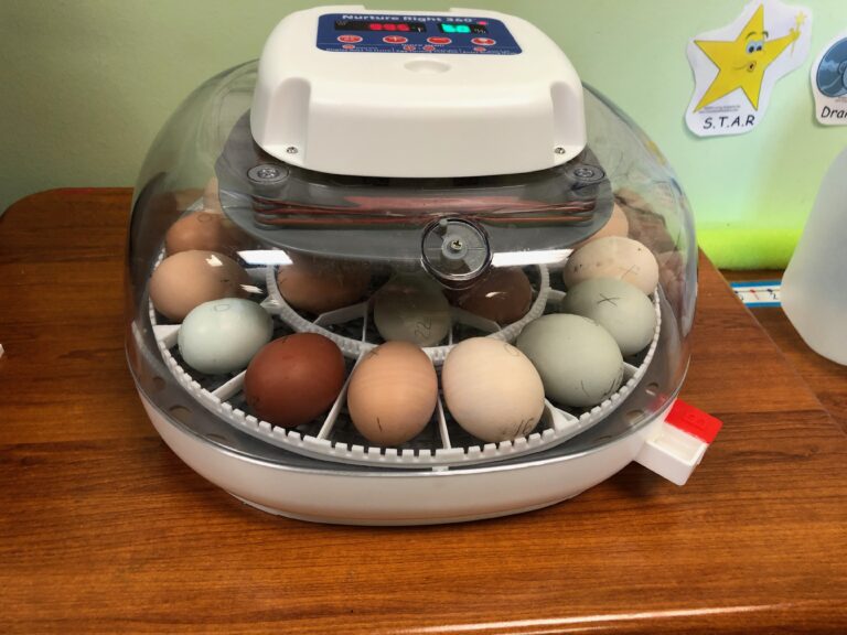 233A3BDB-783B-4AF2-BDD6-78BC5D711C6F